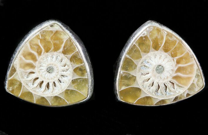 Fossil Ammonite Earrings (Studs) - Sterling Silver #48757